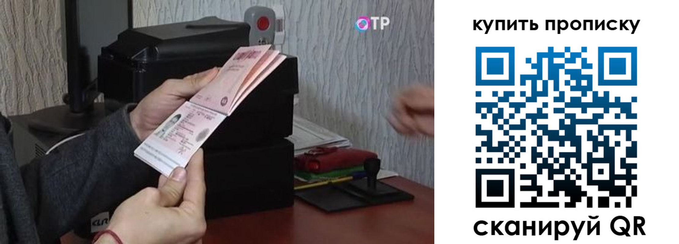 прописка гарантия в Зиме